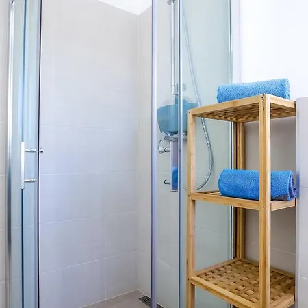 Dino فيلة